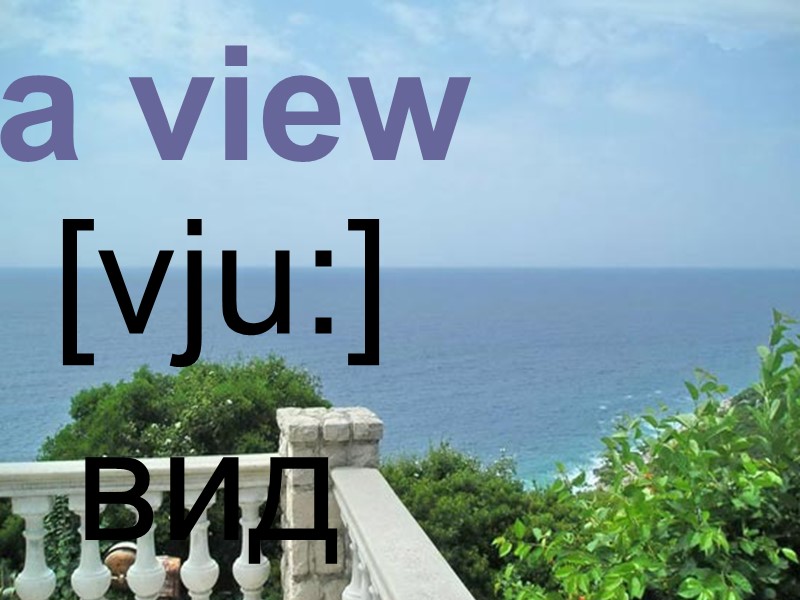 a view вид  [vju:]